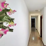 Apartman Plaza Del Charco
