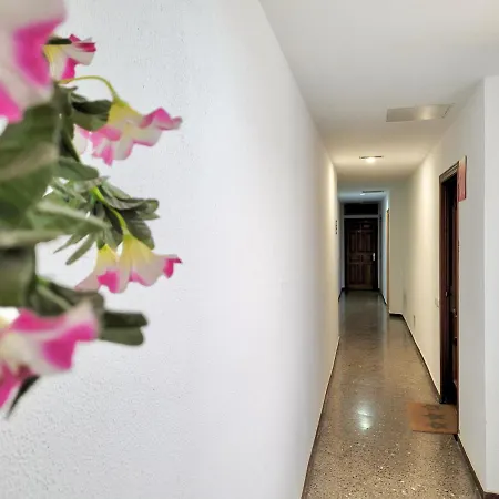 Apartament Plaza Del Charco